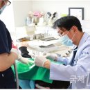 김석현치과의원 이미지
