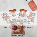 애견패션제작 | 내새끼 클래식 캔버스백 애견가방-rolloralla 롤로랄라