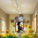 가평순환버스A코스 | 가평 놀거리 가득 아이랑 실내 가볼만한곳 신비동물원 외 흑백요리사2 맛집코스