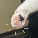 May Photo dump (1) - 백화점 인턴의 일상 궁금하니