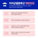 유천플란트치과 이미지