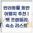 반려동물 동반 여행지 추천 | 펫 프렌들리 숙소 리스트
