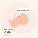 바하 고양이 병원 | 32주-35주/이게마지막글이아니길빌며/조기양막파수/임산부코로나/경상대병원입원/후기이슈