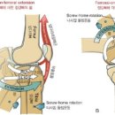 레몬필라테스 이미지