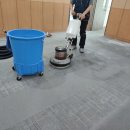 맑은세탁산업 | 분당 카페트청소 후기 사무실 얼룩 제거와 습식 물세탁으로 깔끔하게 관리한 현장