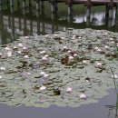 풍산공원 이미지