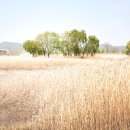 포동빗물배수펌프장 이미지