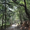 구불3길(큰들길) | [전라북도 군산시] [군산 구불길] 구불3길 큰들길