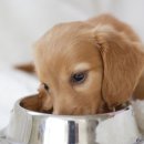 시원메디컬센타 이미지