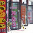 짝 이미지