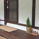 꽃피는 무릉도원 이미지