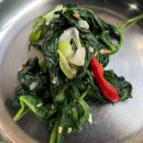 수원-0335 티스토리