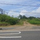 제주토지공인중개사사무소 이미지