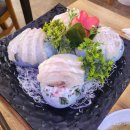 꼬모도 도시락 카페 | #블챌 주간일기-한주 쉬어가기