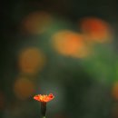 콜럼버스PC 이미지