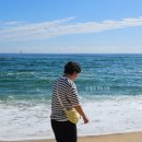 (구)청호시장 | 속초 여행 코스부터 놀거리 알차게 즐긴 (덕질) 투어 2~3일차