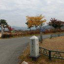 청도추어탕거리 이미지