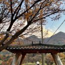 슬로우 인 풀빌라 이미지