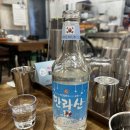 [일상] 제주 서귀포 해저3만리/내돈내산후기