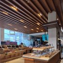 로카와 델피노2 이미지