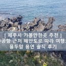 용머리닭집 | [ 제주시 가볼만한곳 추천 ] 제주도 공항 근처 해안도로 따라 여행코스 용두암 용연 솔직 후기