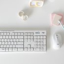 로지텍 MK295 무소음 콤보, 쾌적한 재택근무를 위한 선택