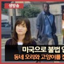 동네오리
