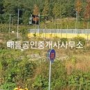 와우부동산공인중개사사무소 이미지