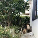 노리민박 이미지