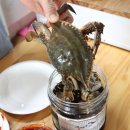 꿀맛 농수산 이미지
