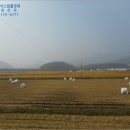 사봉면-6 이미지