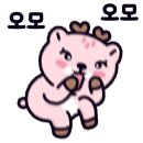 우동고 이미지