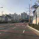 용인대능동태권도 이미지