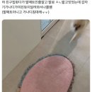 동서치과의원 이미지