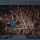 왕궁보석테마 관광지 | 왕궁보석테마 관광지 방문 후기