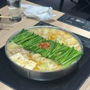 돈앤드오리 | 2박 3일 후쿠오카 가족여행 1일차(2)/오호리공원/앤드로컬스 카페/모모치해변/후쿠오카타워 야경...