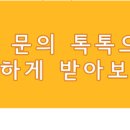 광신벽돌 이미지