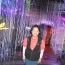 에이블투어㈜ 이미지