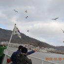 금란초교 이미지