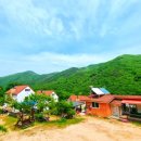 배내골걸리버 | 자연 속 프라이빗한 힐링, 배내골걸리버펜션 후기