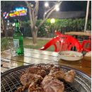 솔마당 | 추천 넓은 주차장과 자연 속 분위기에서 즐기는 숯불닭갈비와 메밀막국수 솔마당 숯불닭갈비&amp;막국수 후기