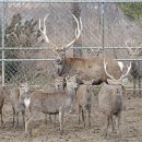 순호농장 이미지