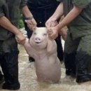 힐링쇼핑