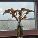 건국여성경로당 이미지