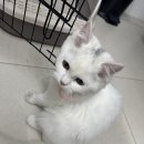 지에스25태안마검포점 이미지