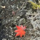 [파이낸셜리뷰] 이태희 디카시- 소멸의 꿈 이미지