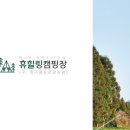 정이품송캠핑장 이미지