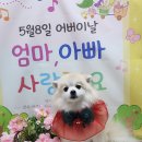 몽실이 이미지