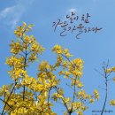 미션무예합기도