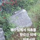 "다 이루었다" 이미지